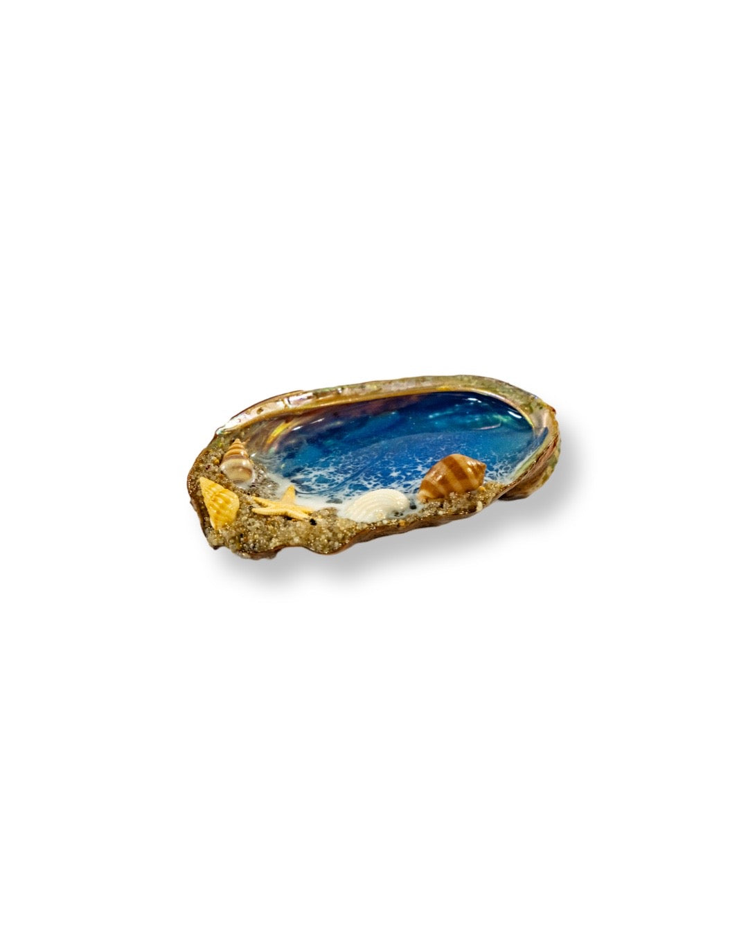 Shell
